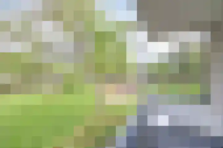 Tolhuis 7839 Nijmegen thumbnail 22