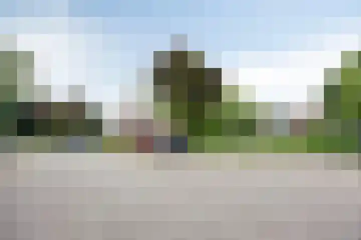 Tolhuis 7839 Nijmegen thumbnail 32