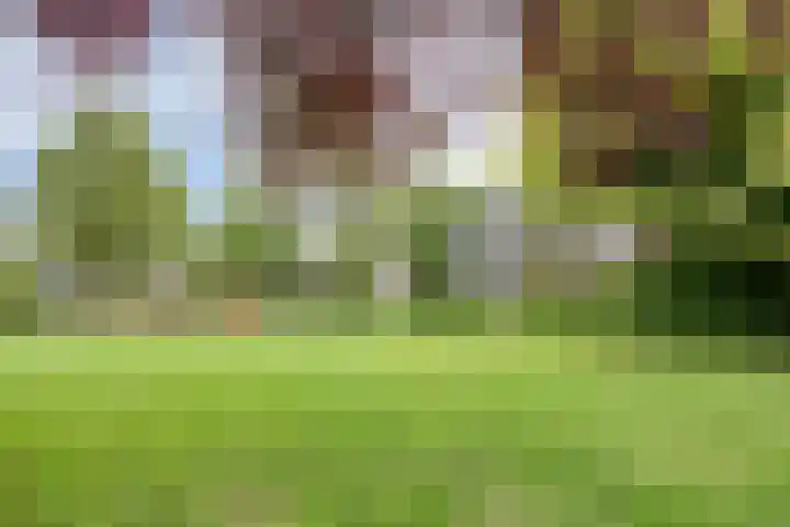 Tolhuis 7839 Nijmegen thumbnail 35