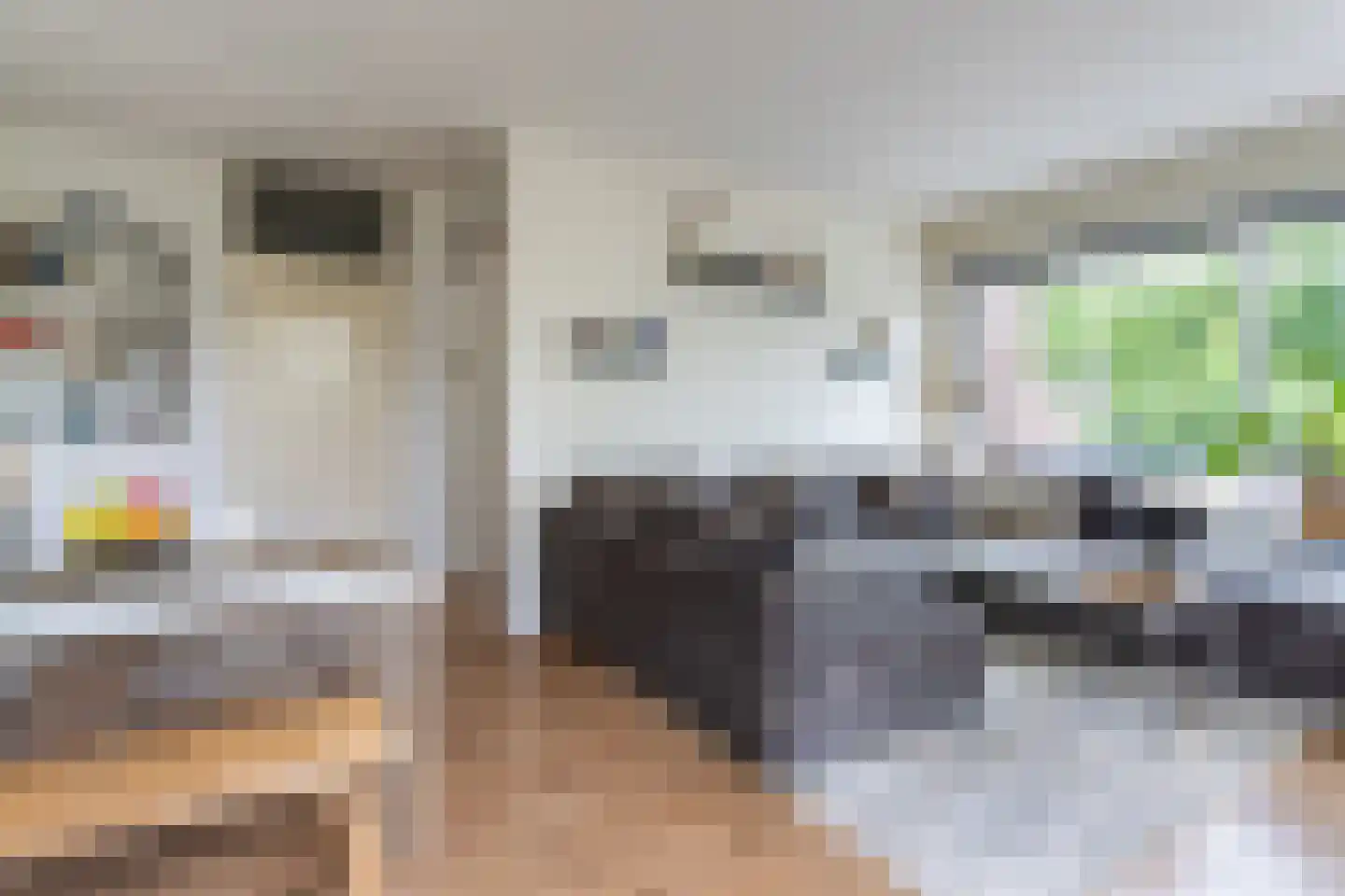 Tolhuis 7867 Nijmegen thumbnail 15