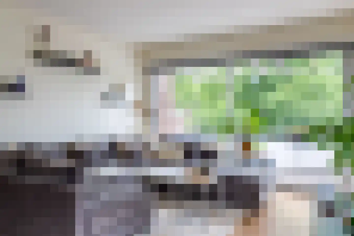 Tolhuis 7867 Nijmegen thumbnail 16