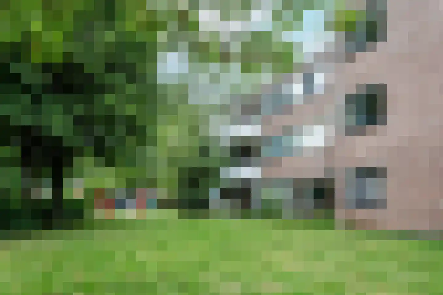 Tolhuis 7867 Nijmegen thumbnail 26