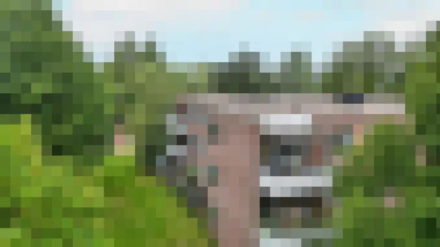 Tolhuis 7867 Nijmegen thumbnail 6