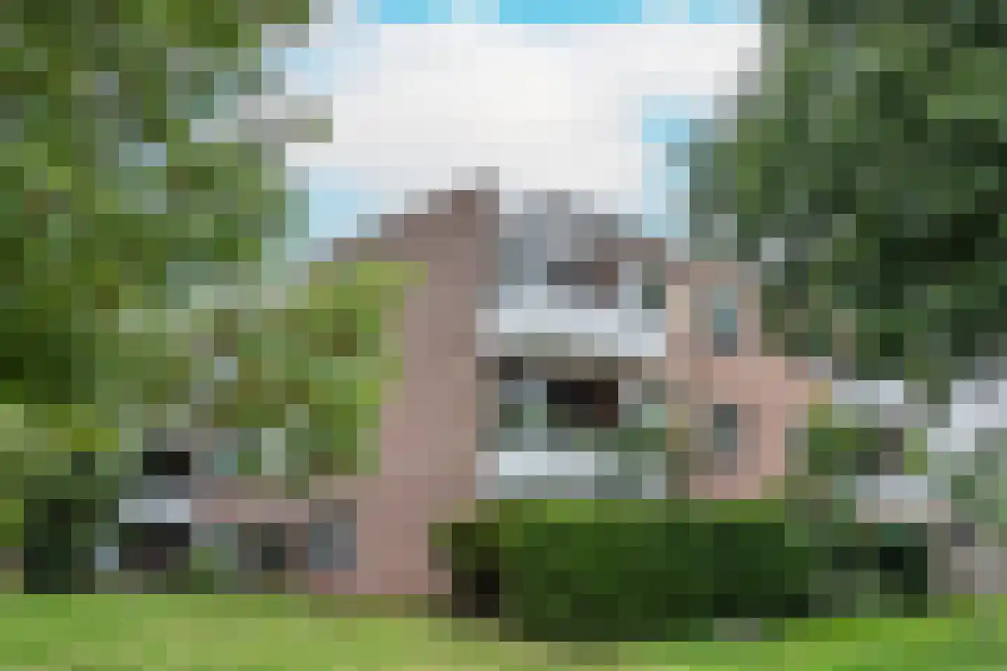 Tolhuis 7867 Nijmegen thumbnail 7