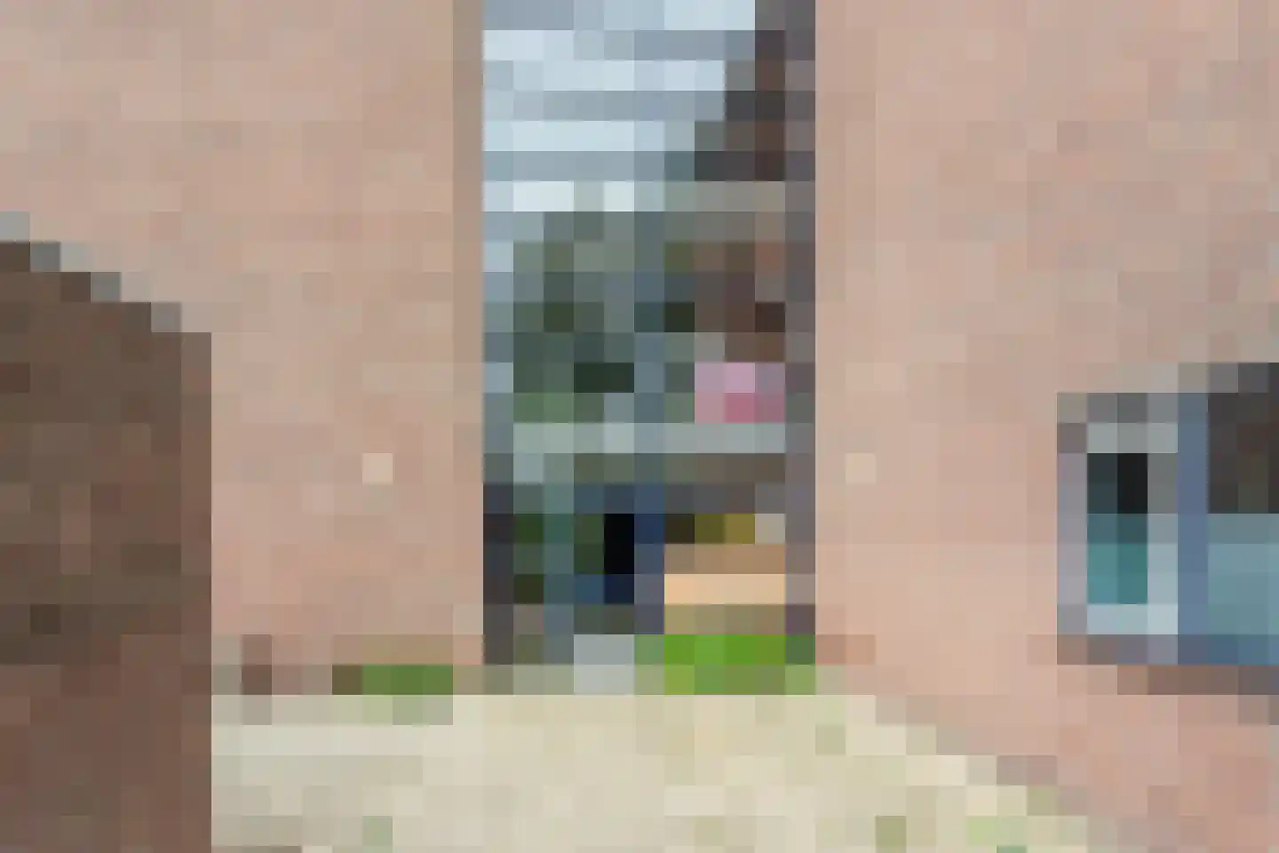 Tolhuis 7867 Nijmegen thumbnail 8