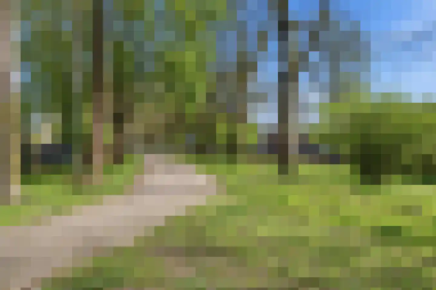 Tolhuis 7881 Nijmegen thumbnail 21