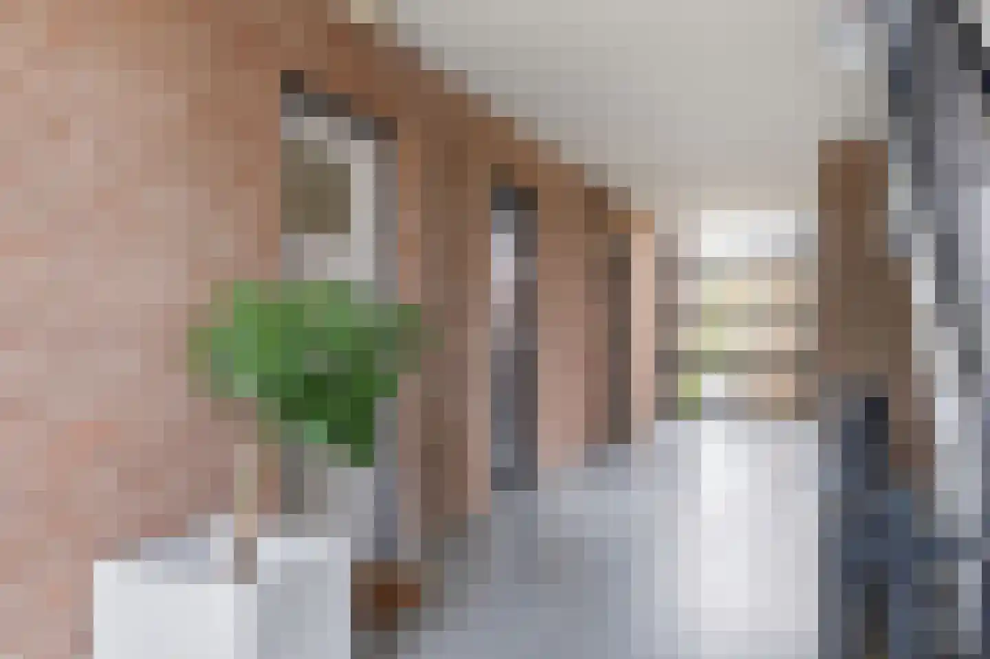 Tolhuis 7881 Nijmegen thumbnail 4