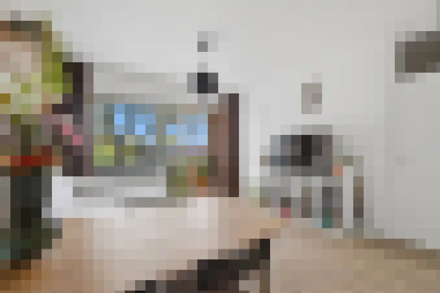 Tolhuis 7881 Nijmegen thumbnail 8