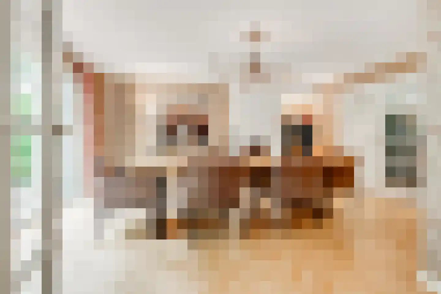 Tolhuislaan 1 Bosch en Duin thumbnail 14