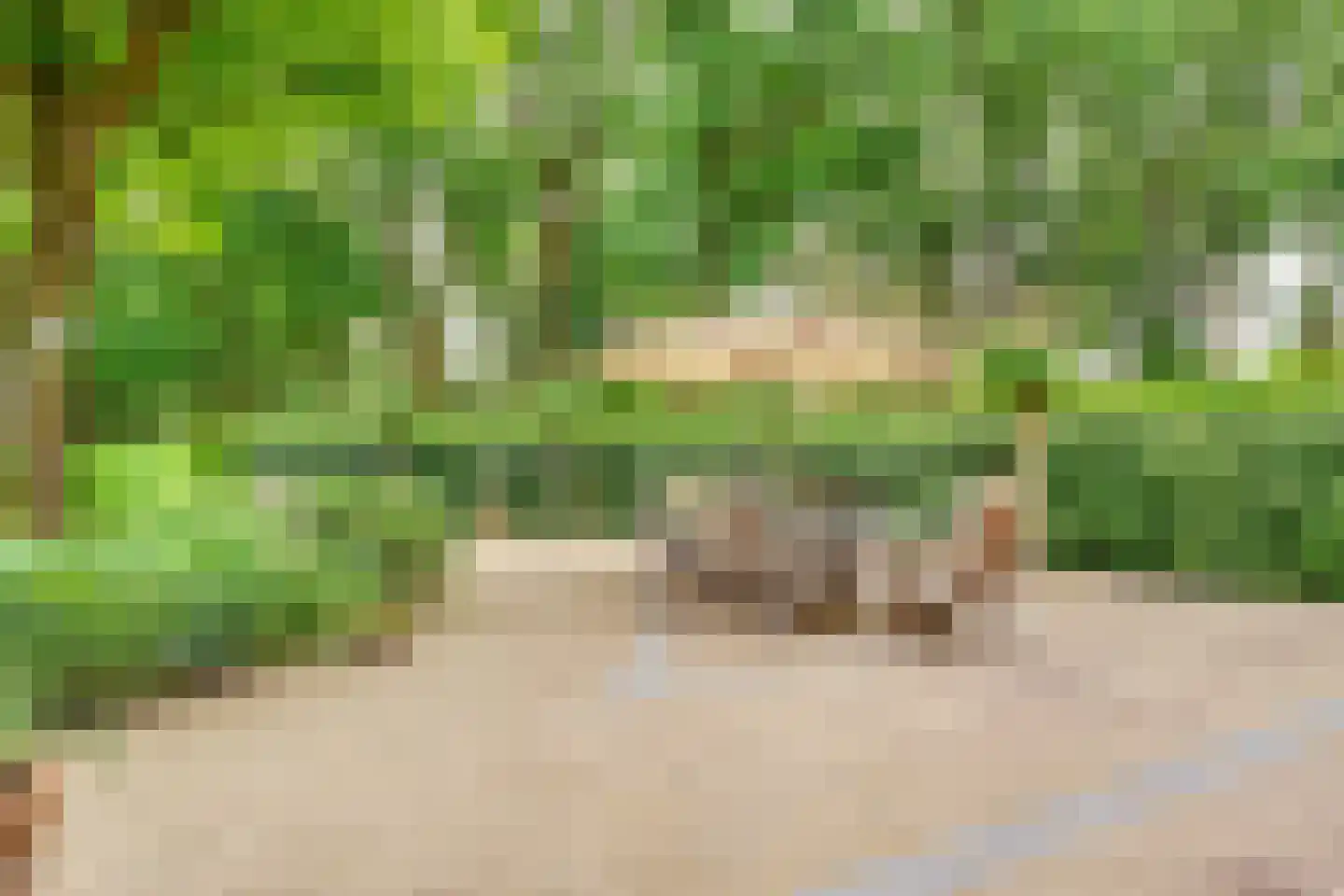 Tolhuislaan 1 Bosch en Duin thumbnail 17