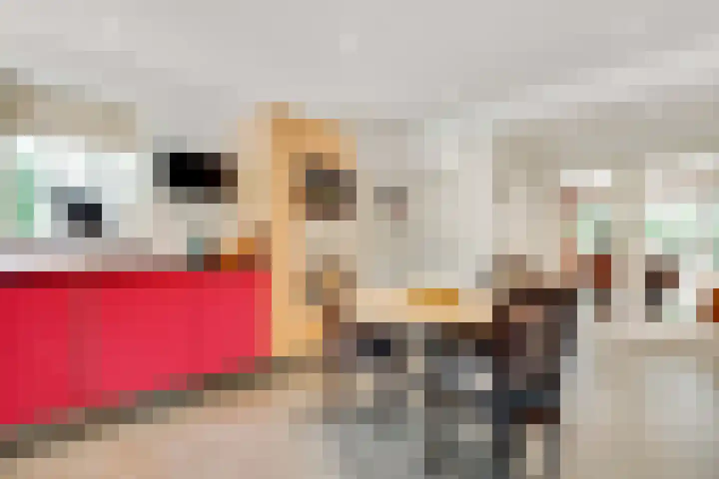 Tolhuislaan 1 Bosch en Duin thumbnail 20