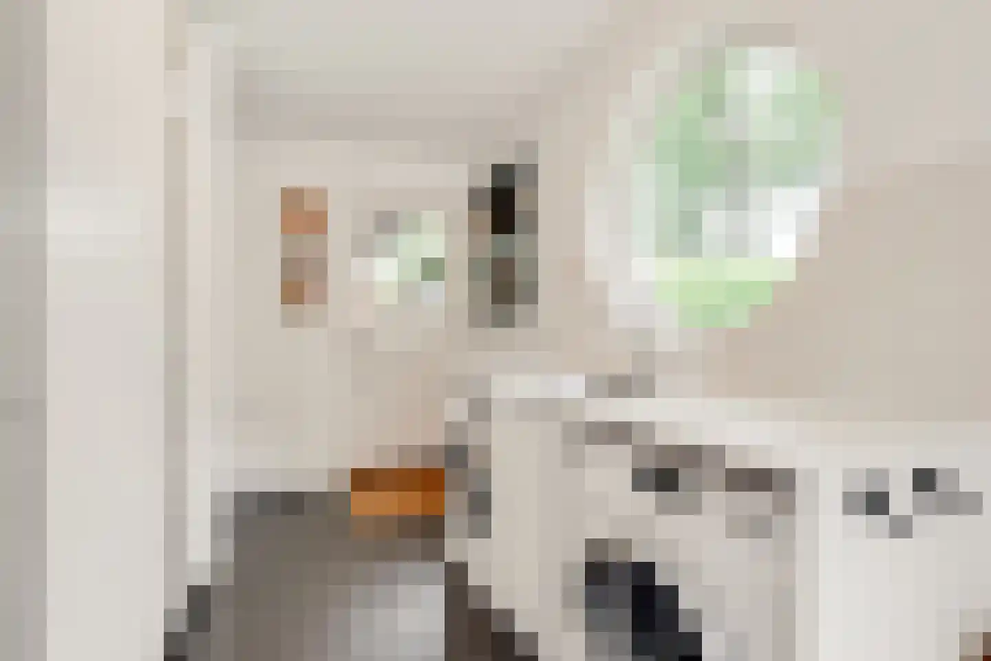 Tolhuislaan 1 Bosch en Duin thumbnail 22