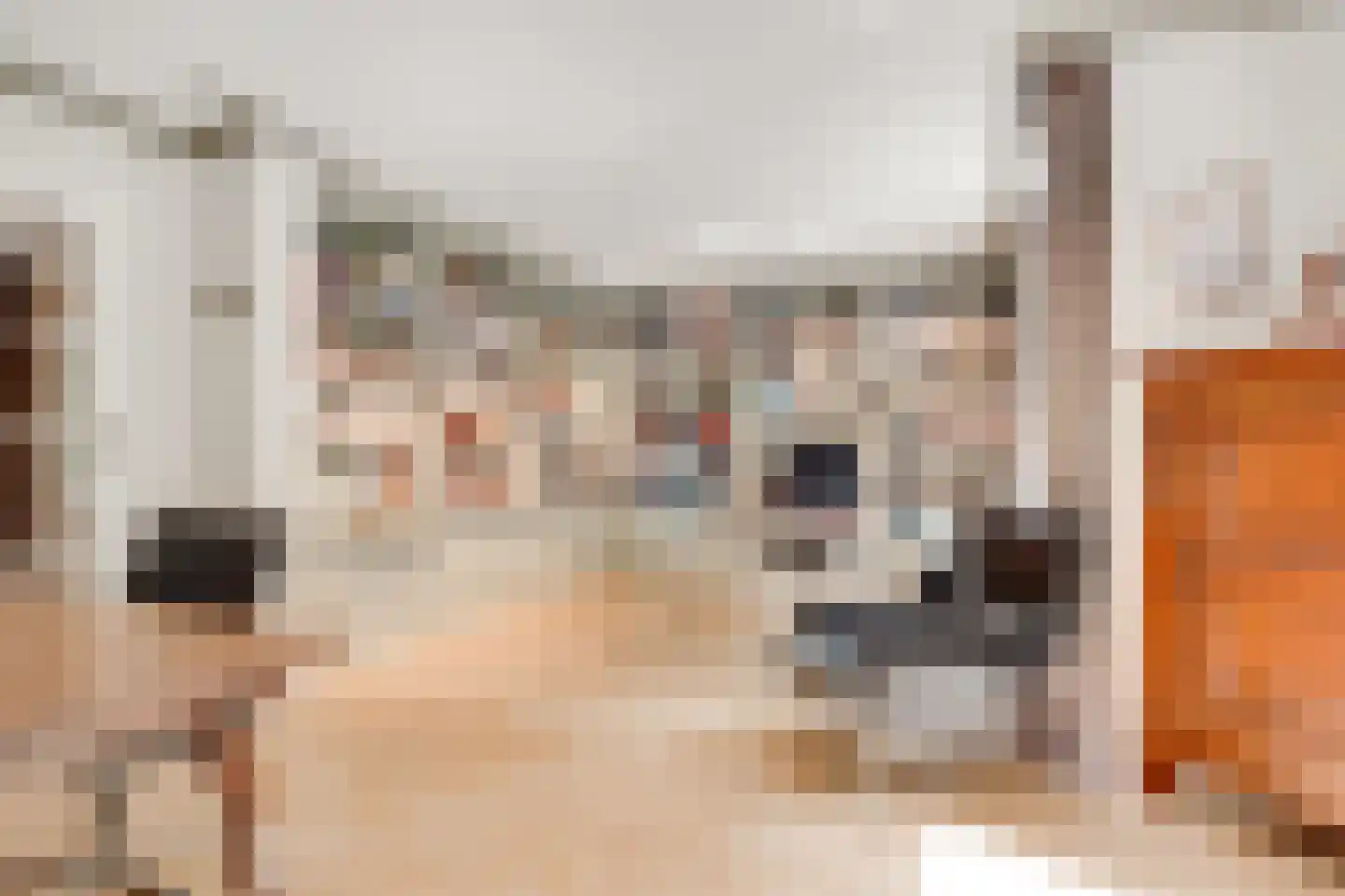 Tolhuislaan 1 Bosch en Duin thumbnail 23