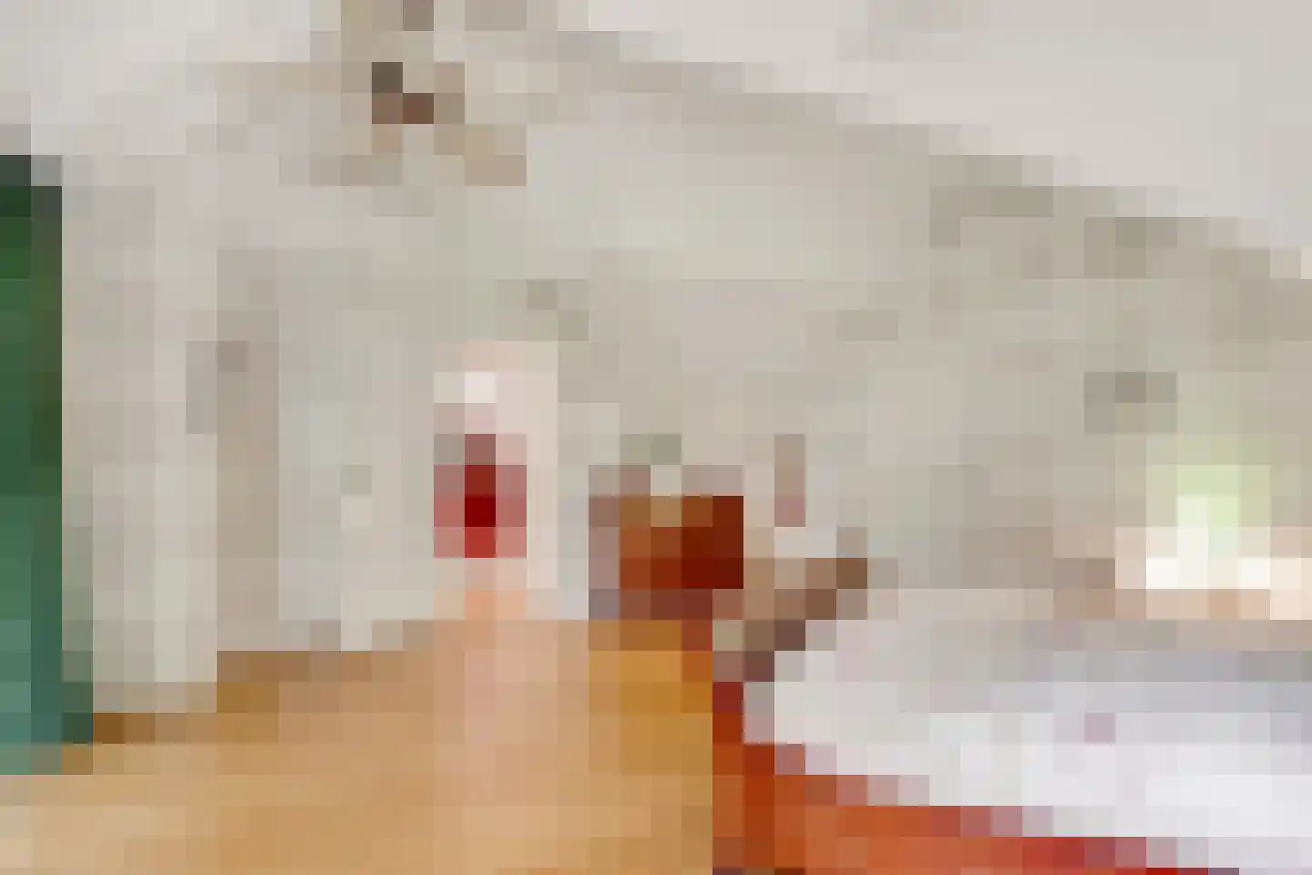 Tolhuislaan 1 Bosch en Duin thumbnail 29