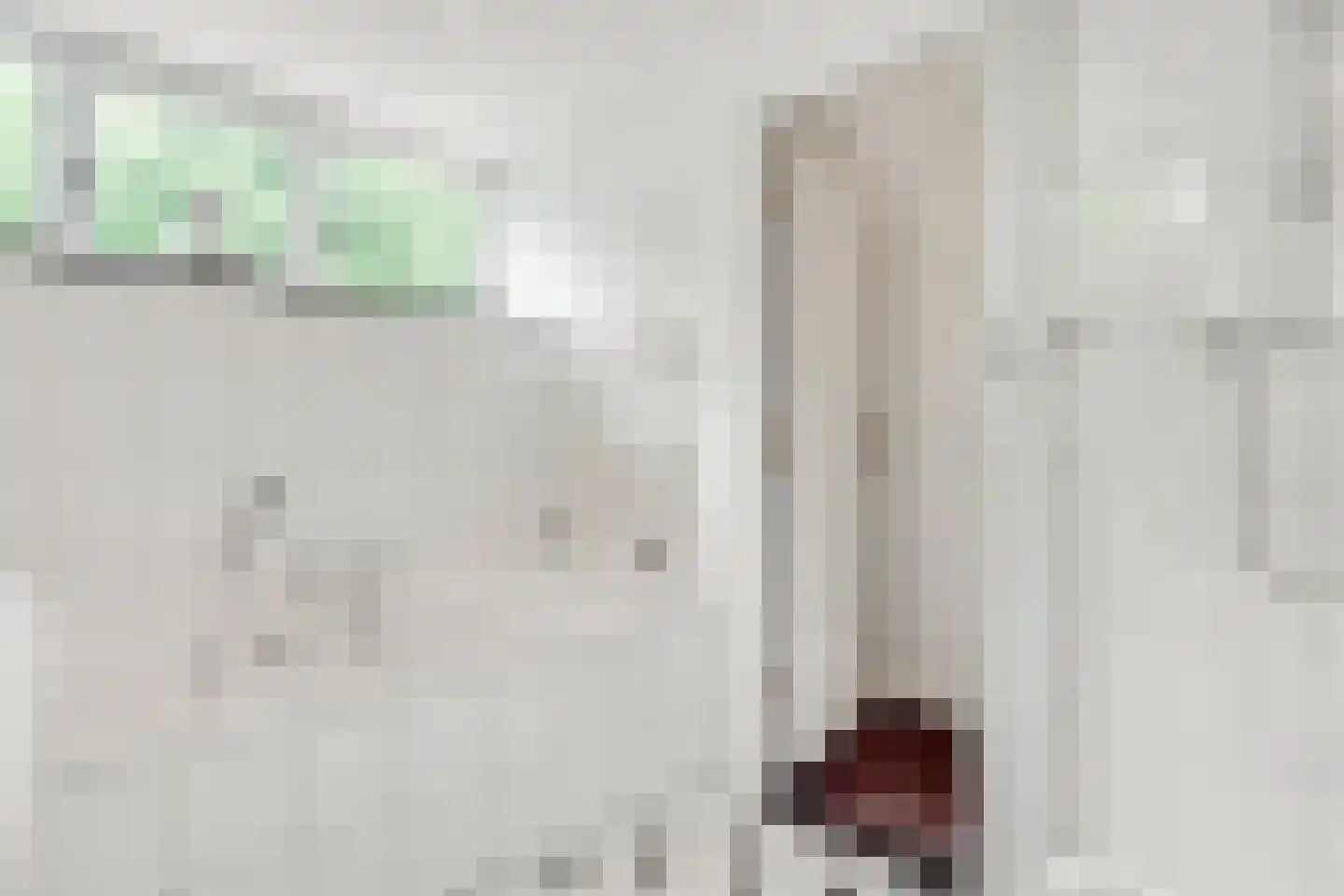 Tolhuislaan 1 Bosch en Duin thumbnail 39