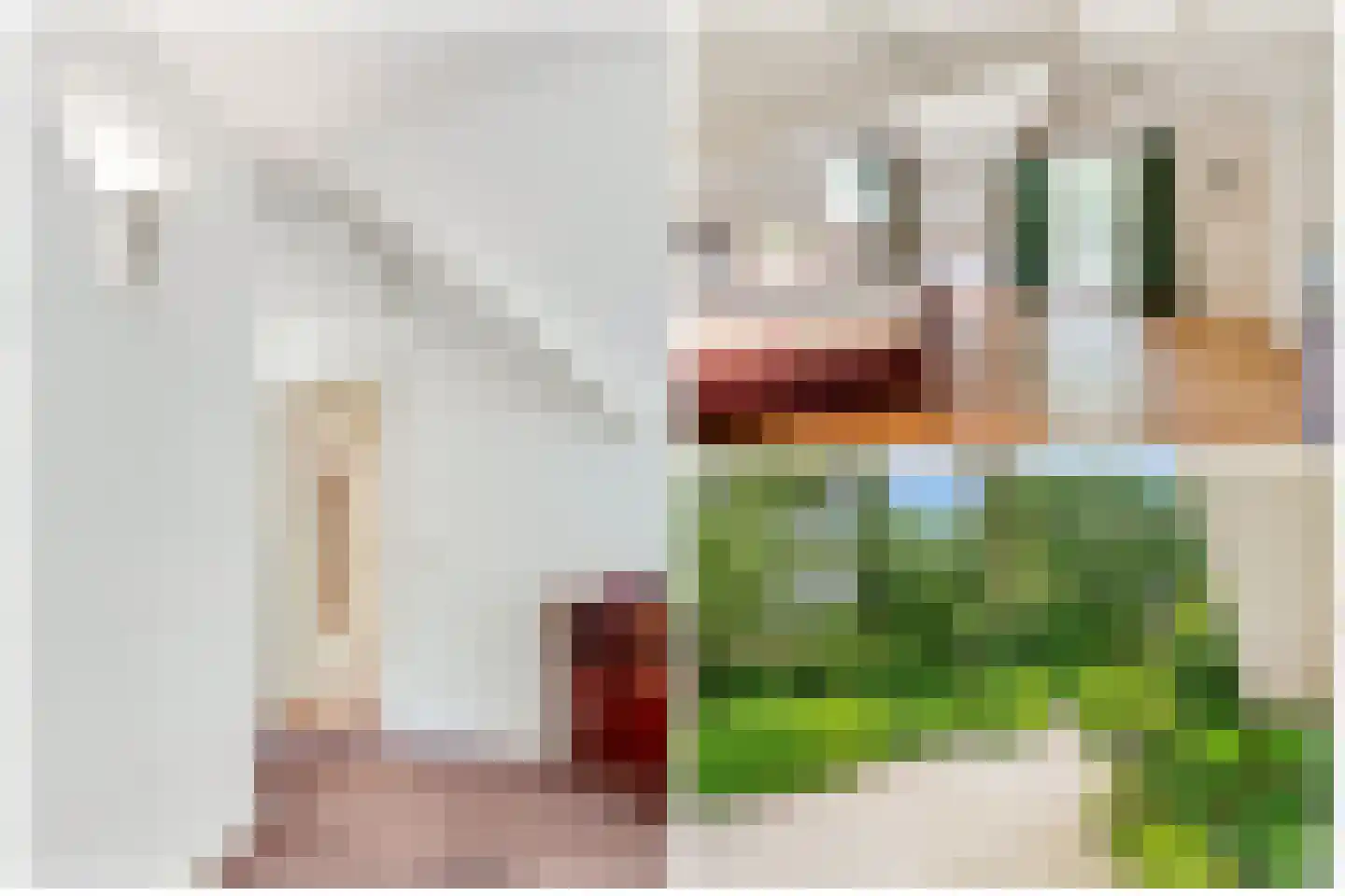 Tolhuislaan 1 Bosch en Duin thumbnail 40