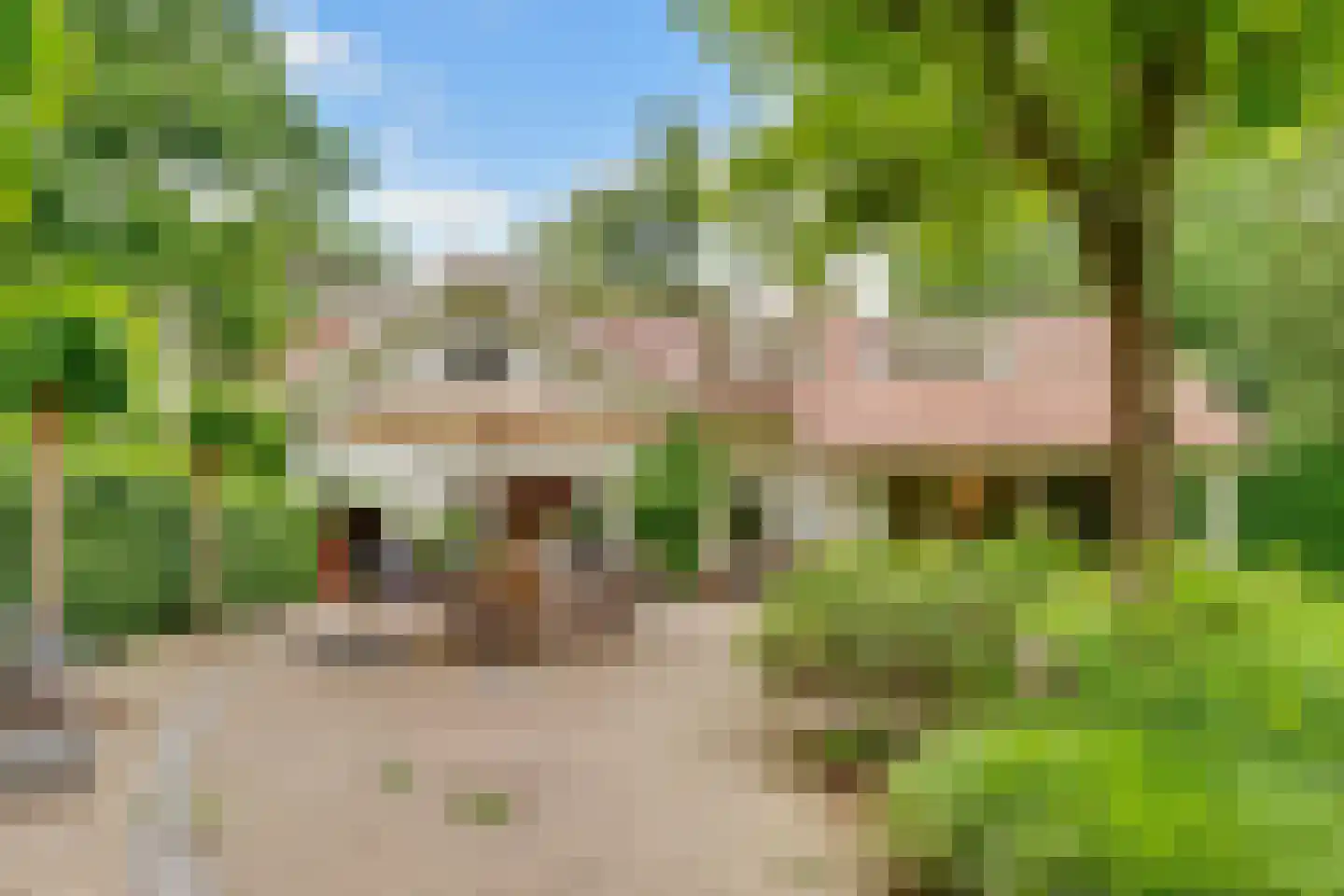 Tolhuislaan 1 Bosch en Duin thumbnail 43