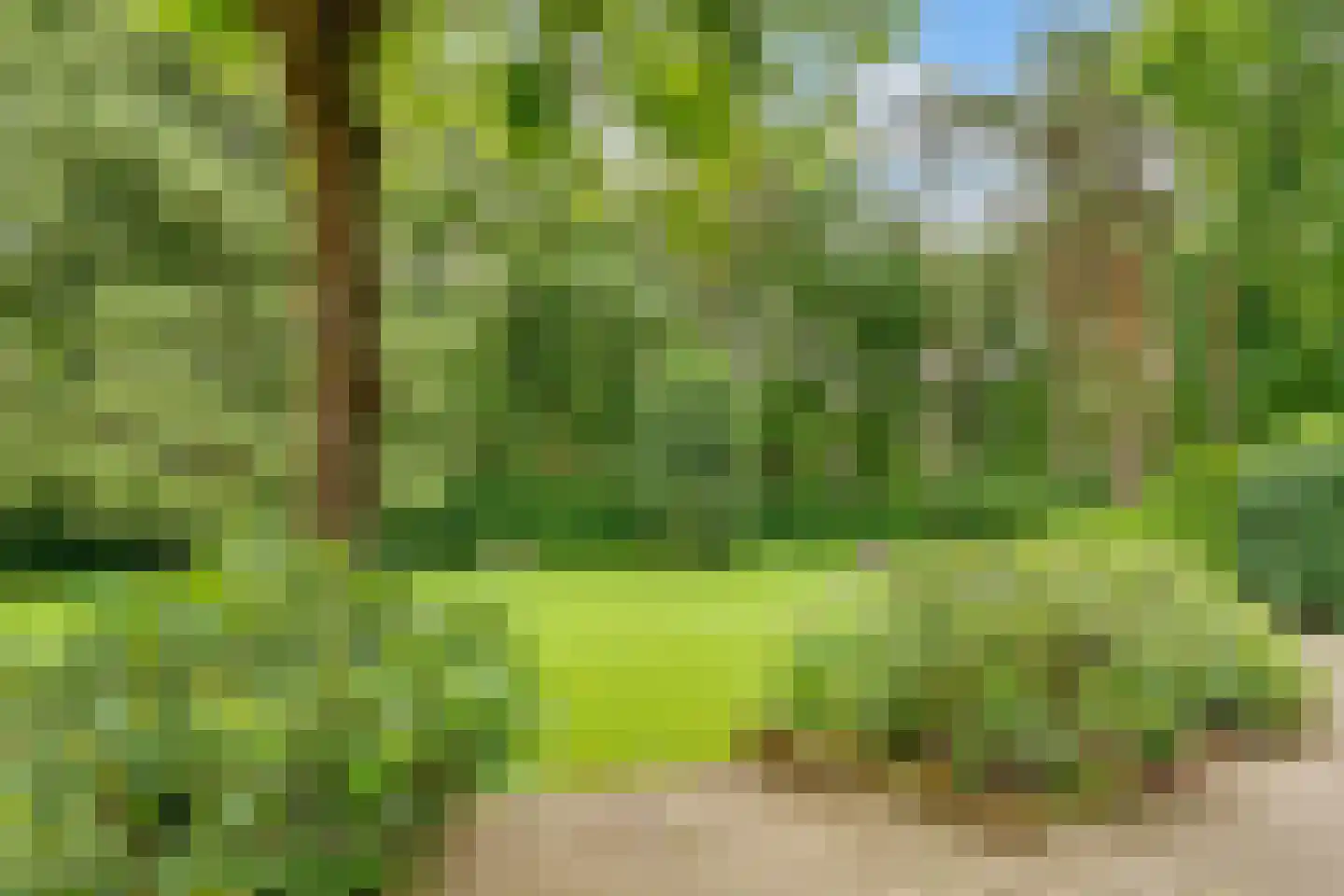Tolhuislaan 1 Bosch en Duin thumbnail 45