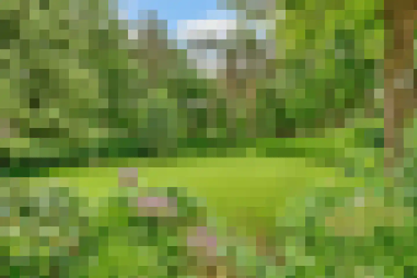 Tolhuislaan 1 Bosch en Duin thumbnail 46