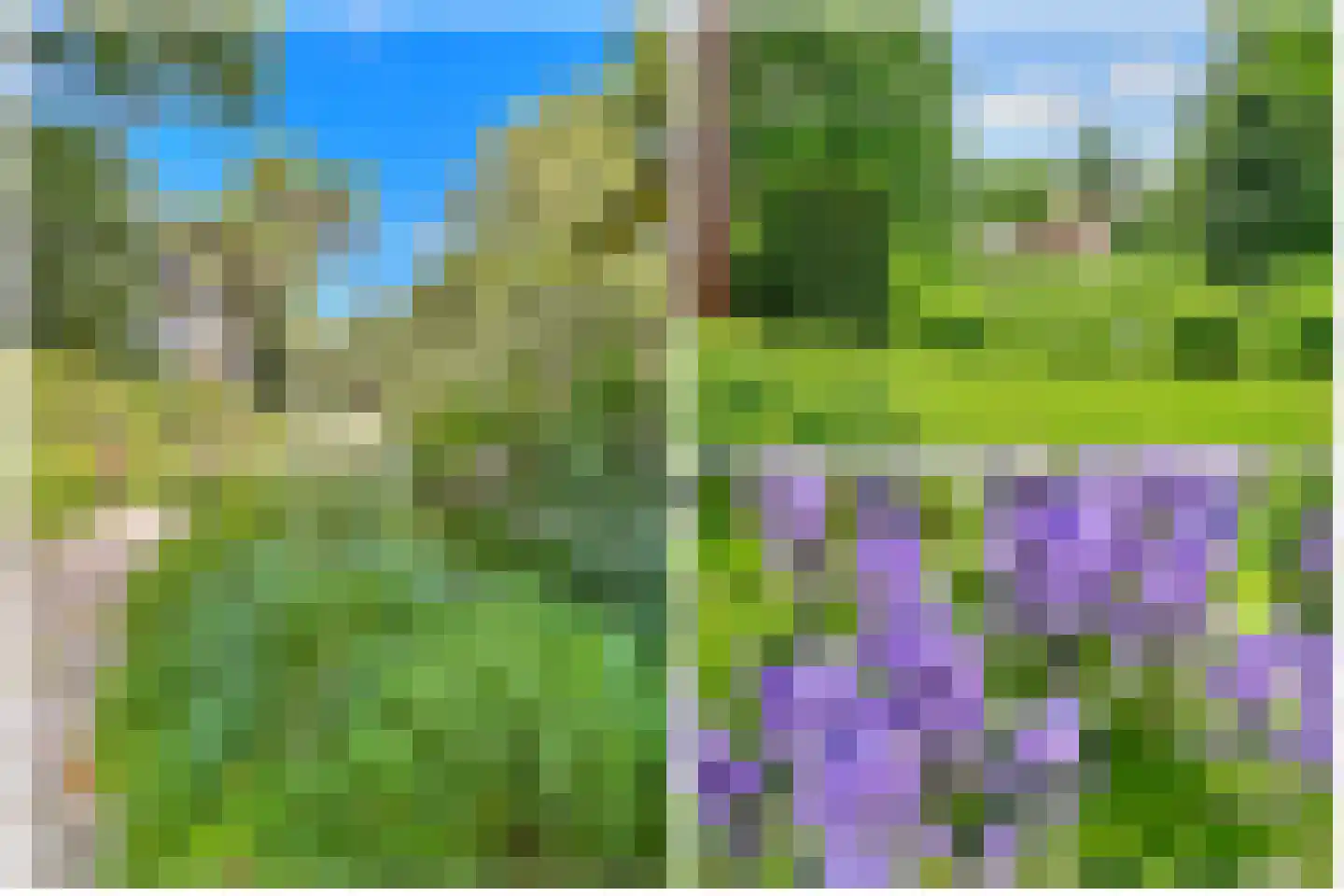 Tolhuislaan 1 Bosch en Duin thumbnail 48