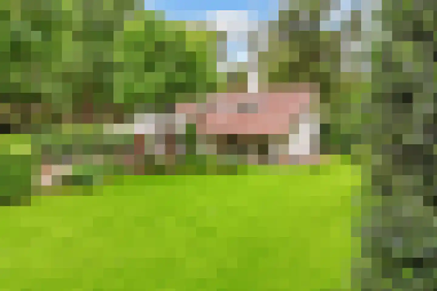 Tolhuislaan 1 Bosch en Duin thumbnail 49