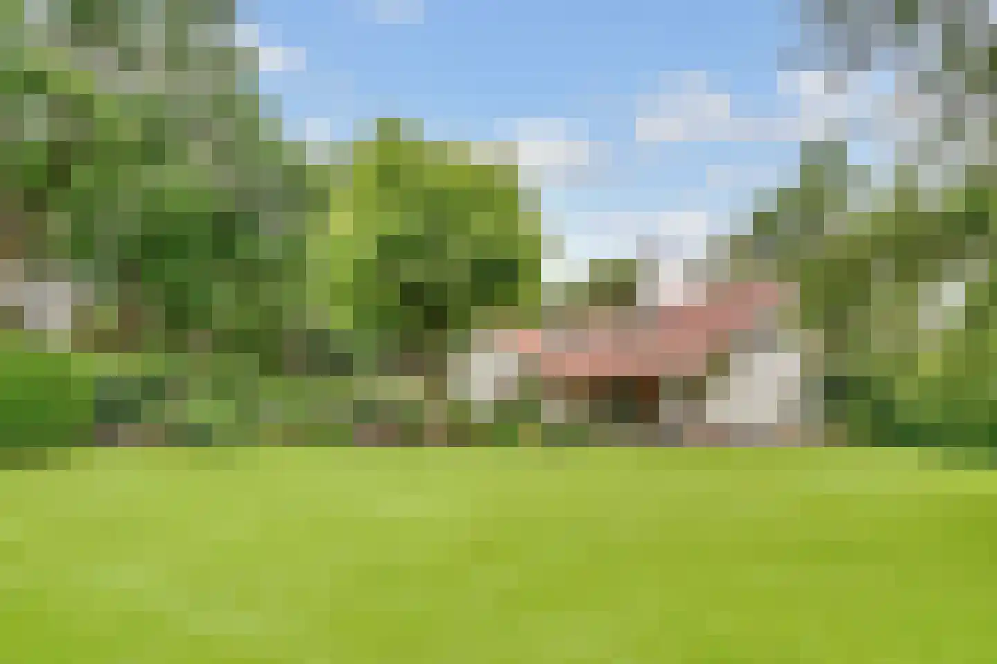 Tolhuislaan 1 Bosch en Duin thumbnail 50