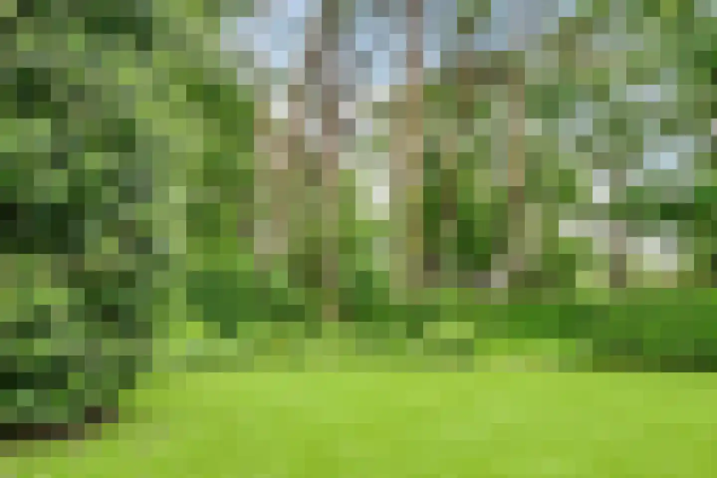 Tolhuislaan 1 Bosch en Duin thumbnail 51