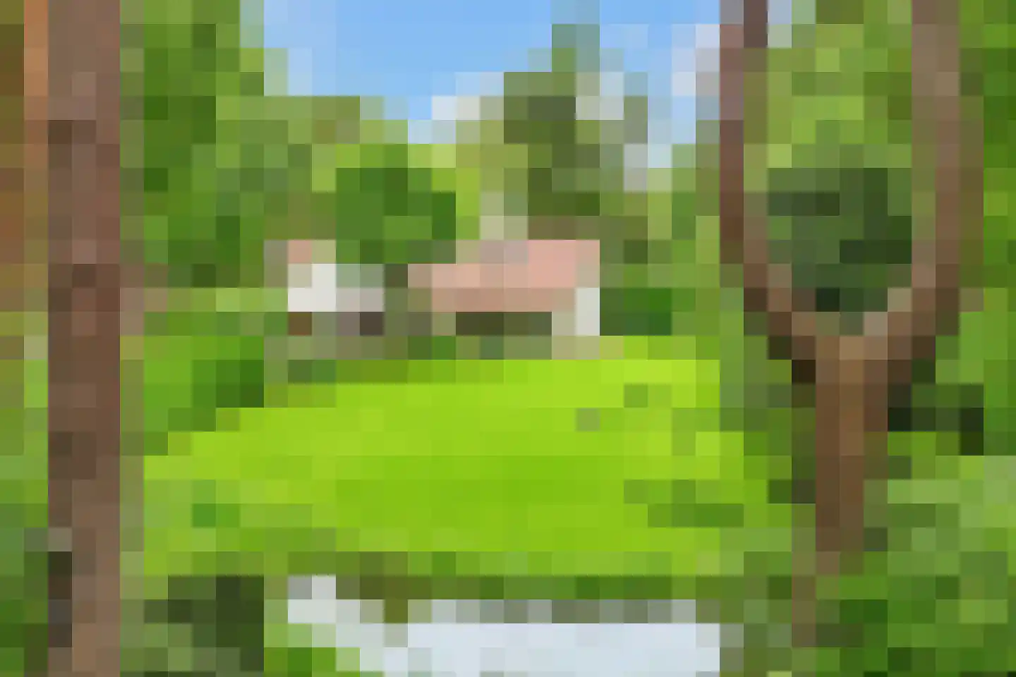 Tolhuislaan 1 Bosch en Duin thumbnail 52