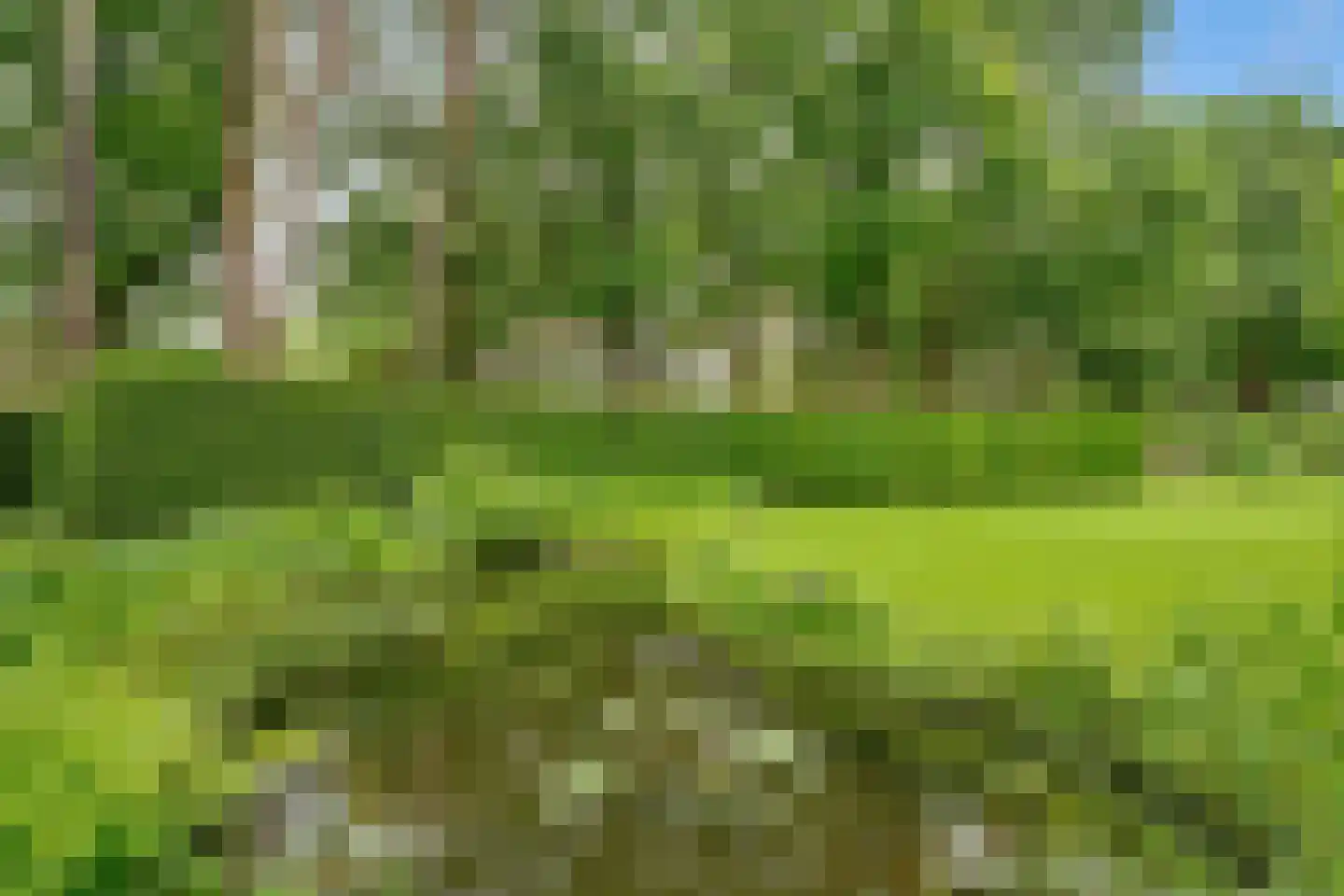 Tolhuislaan 1 Bosch en Duin thumbnail 55