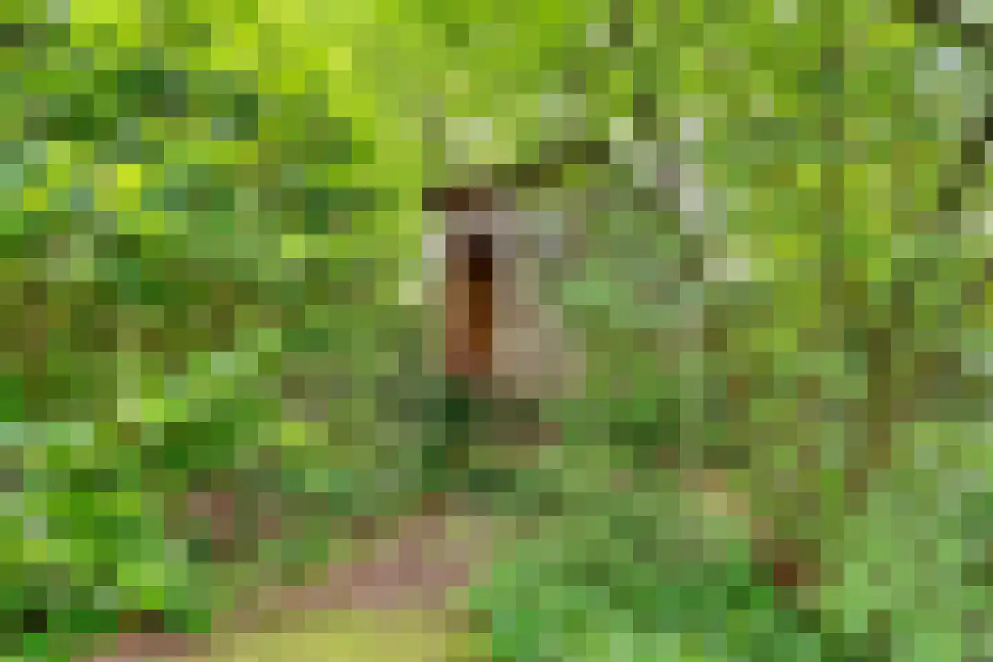 Tolhuislaan 1 Bosch en Duin thumbnail 56