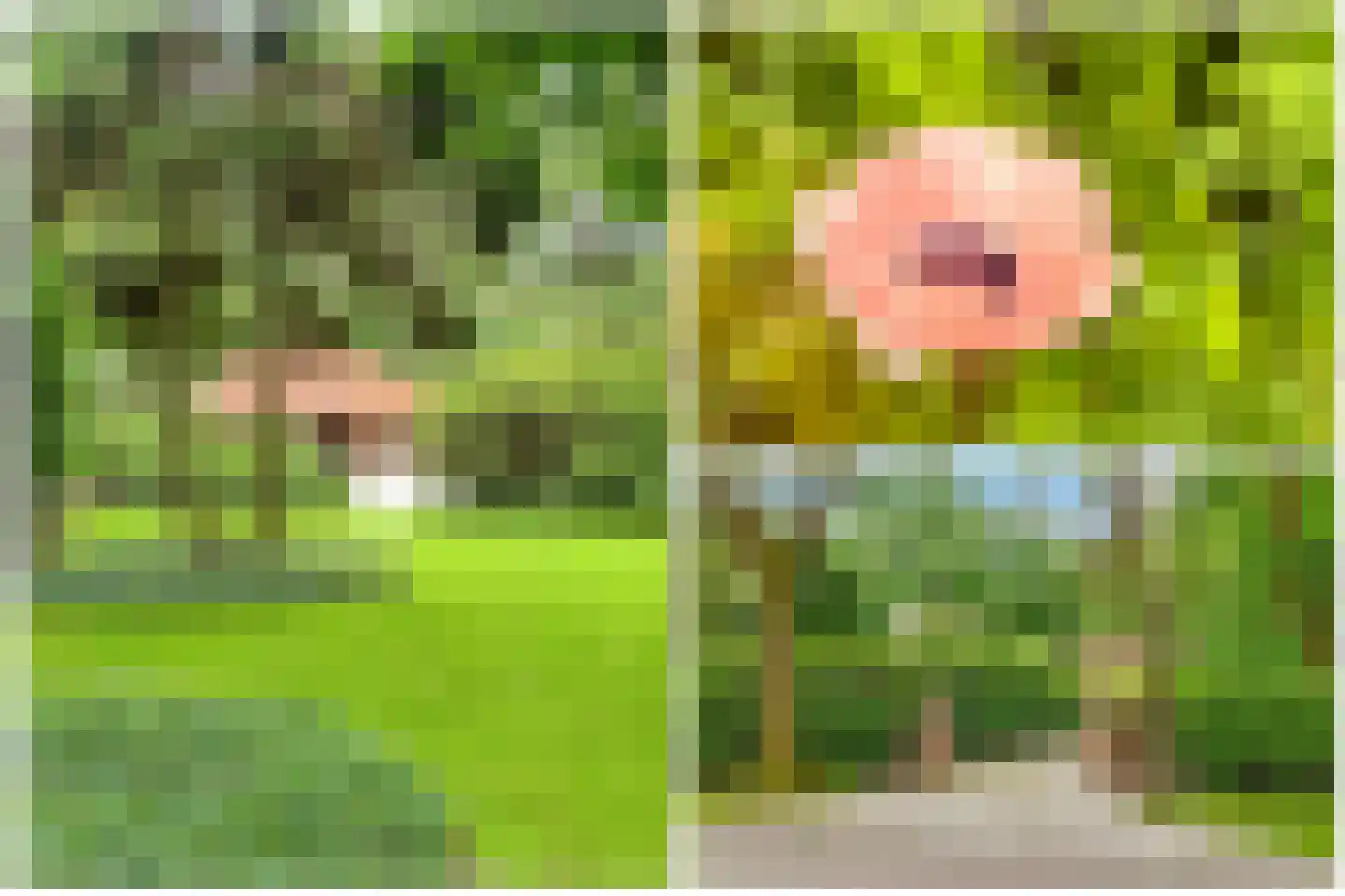 Tolhuislaan 1 Bosch en Duin thumbnail 58