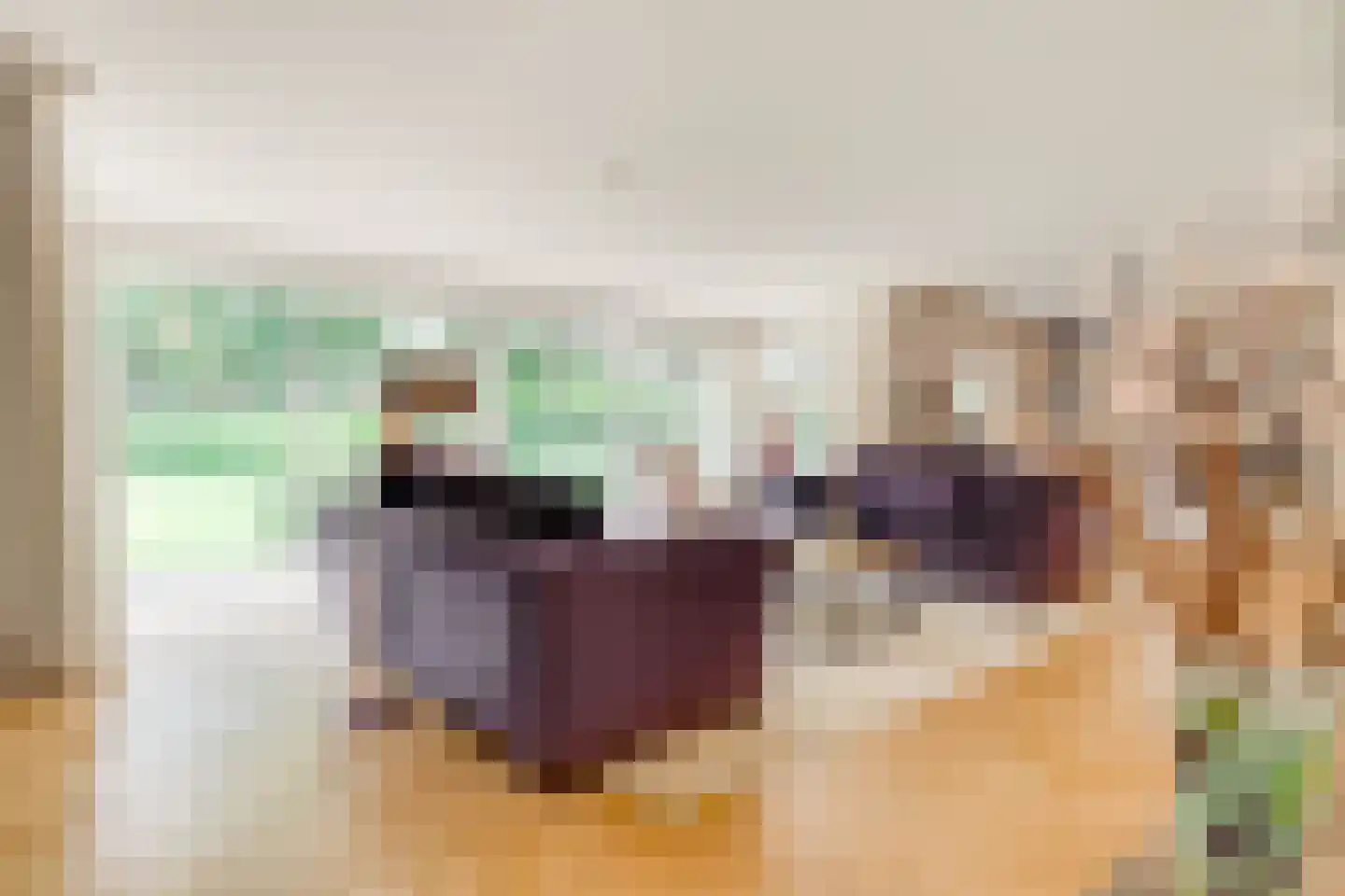 Tolhuislaan 1 Bosch en Duin thumbnail 6