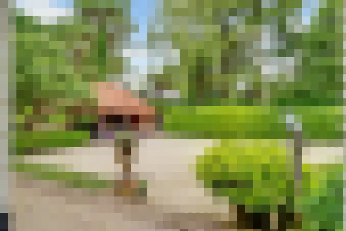 Tolhuislaan 1 Bosch en Duin thumbnail 60