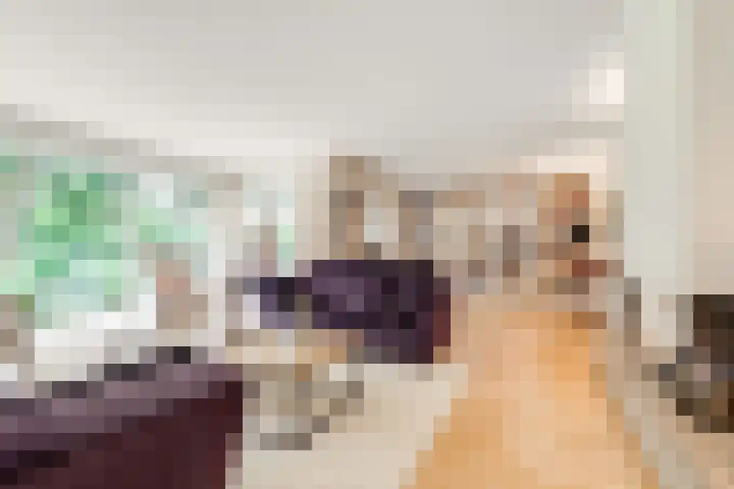 Tolhuislaan 1 Bosch en Duin thumbnail 7