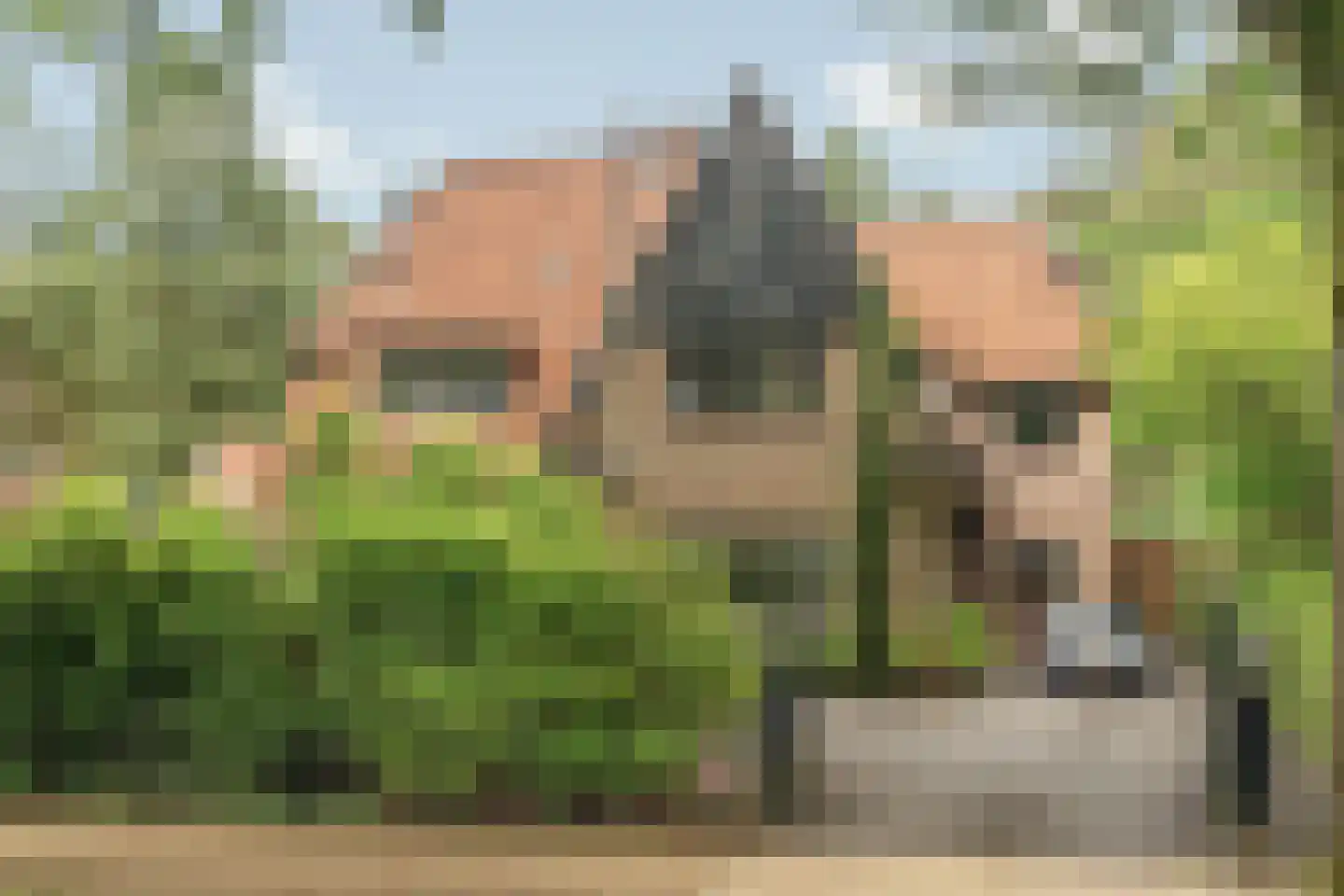 Tolhuislaan 14 A Bosch en Duin