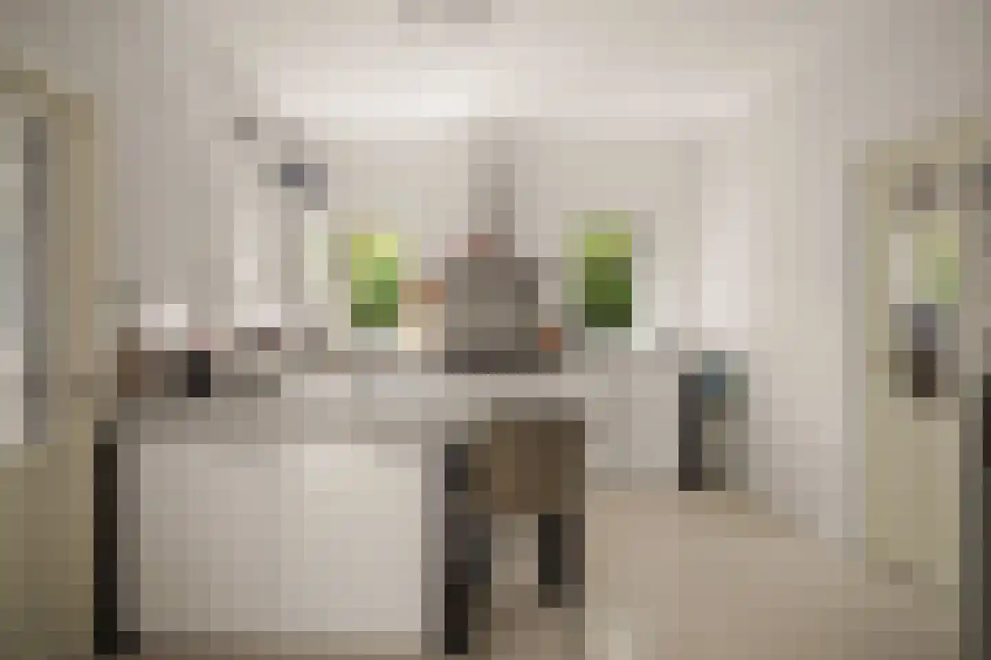 Tolhuislaan 14 A Bosch en Duin thumbnail 11