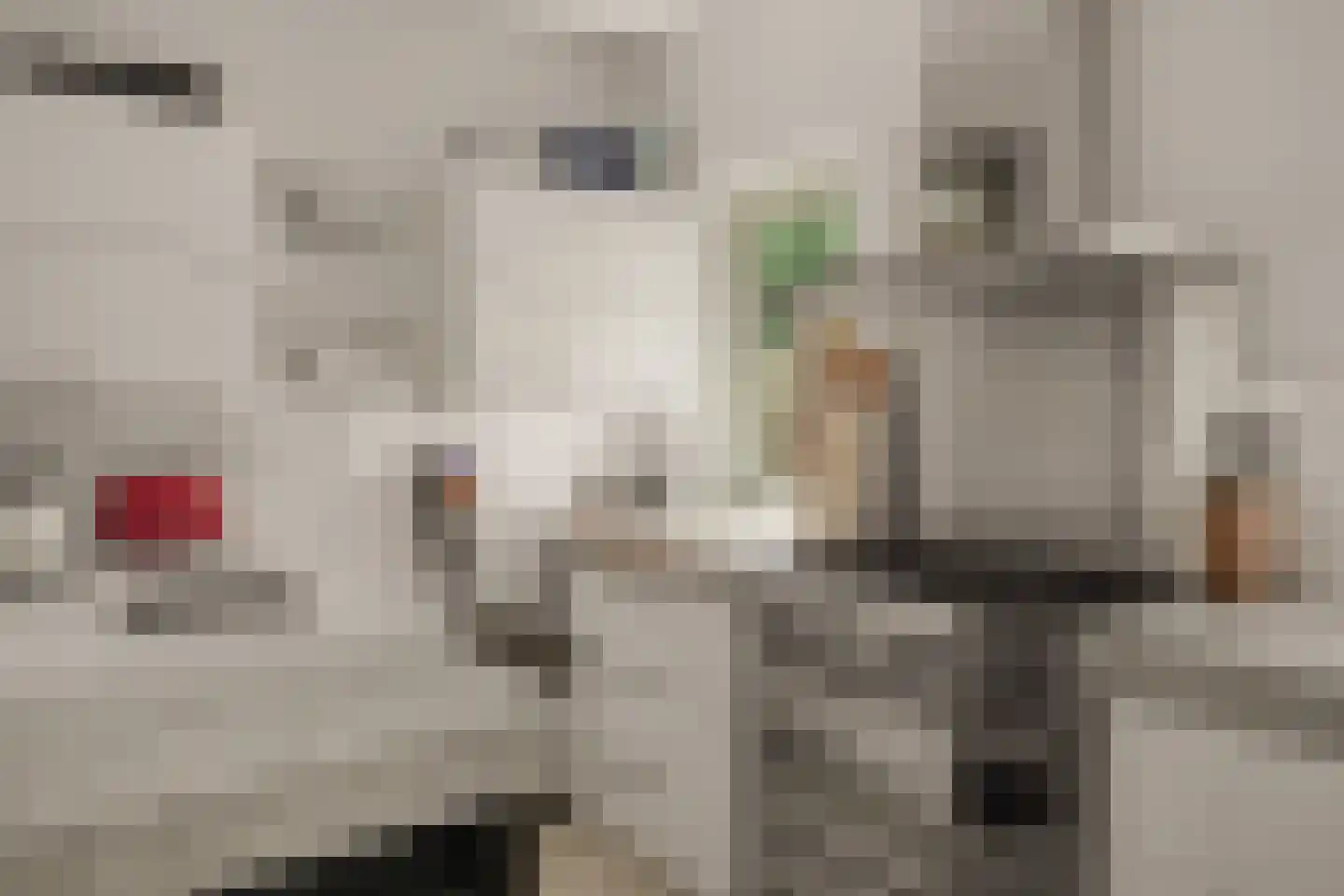 Tolhuislaan 14 A Bosch en Duin thumbnail 12
