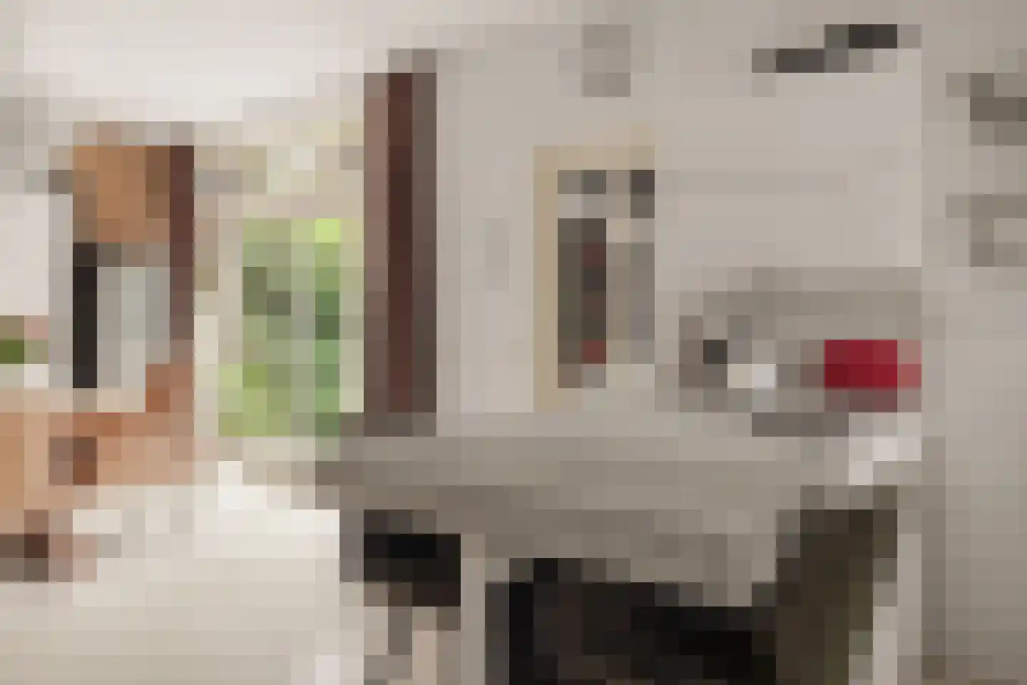 Tolhuislaan 14 A Bosch en Duin thumbnail 13
