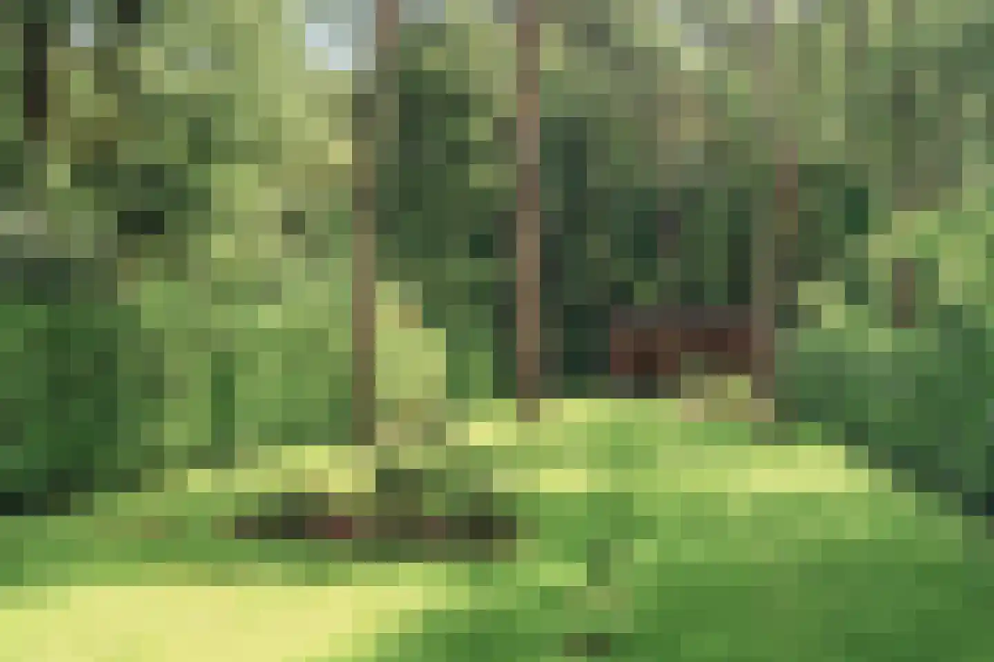 Tolhuislaan 14 A Bosch en Duin thumbnail 17