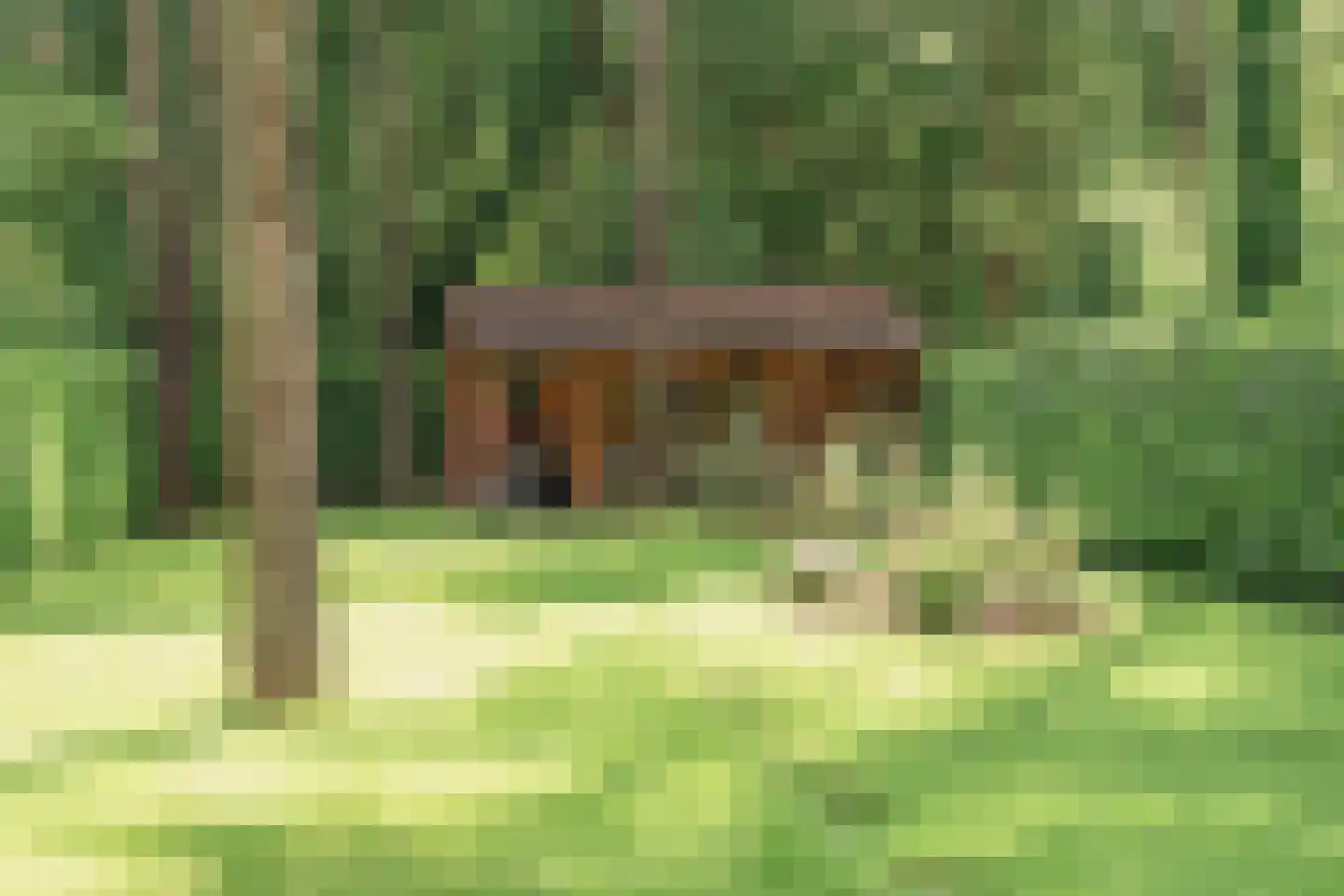 Tolhuislaan 14 A Bosch en Duin thumbnail 18