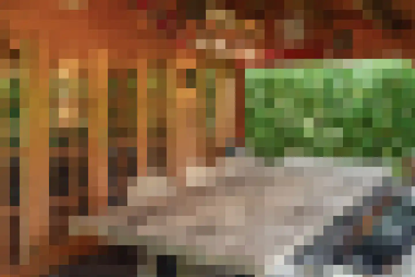 Tolhuislaan 14 A Bosch en Duin thumbnail 20