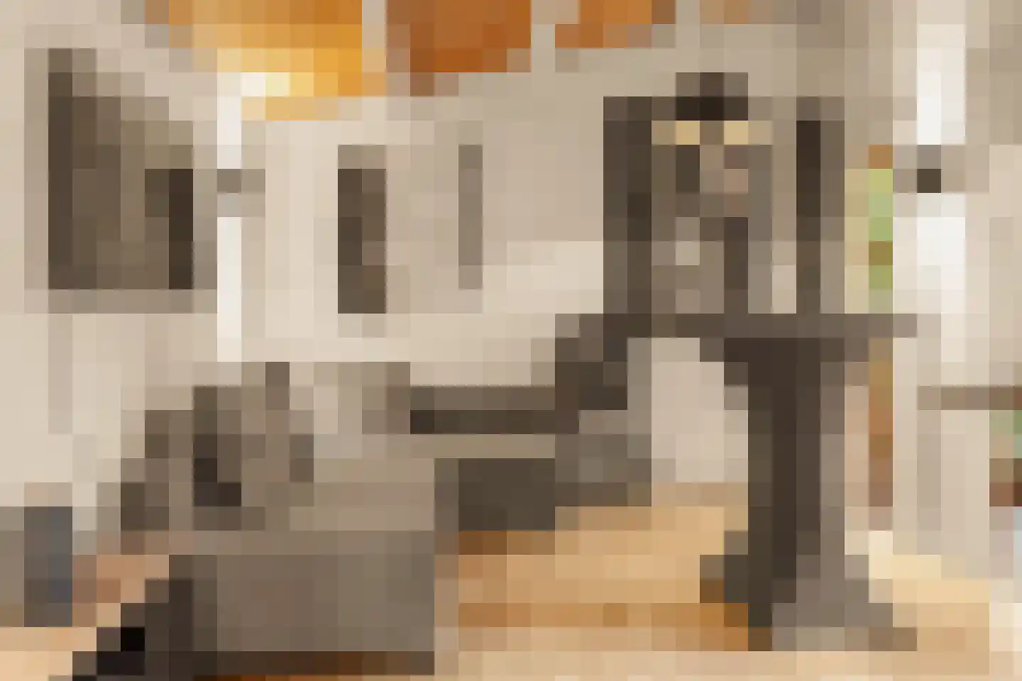 Tolhuislaan 14 A Bosch en Duin thumbnail 21