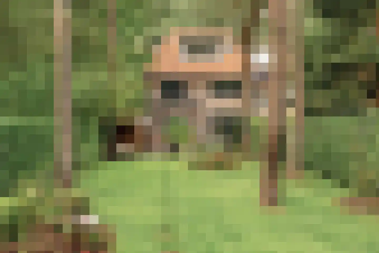 Tolhuislaan 14 A Bosch en Duin thumbnail 22