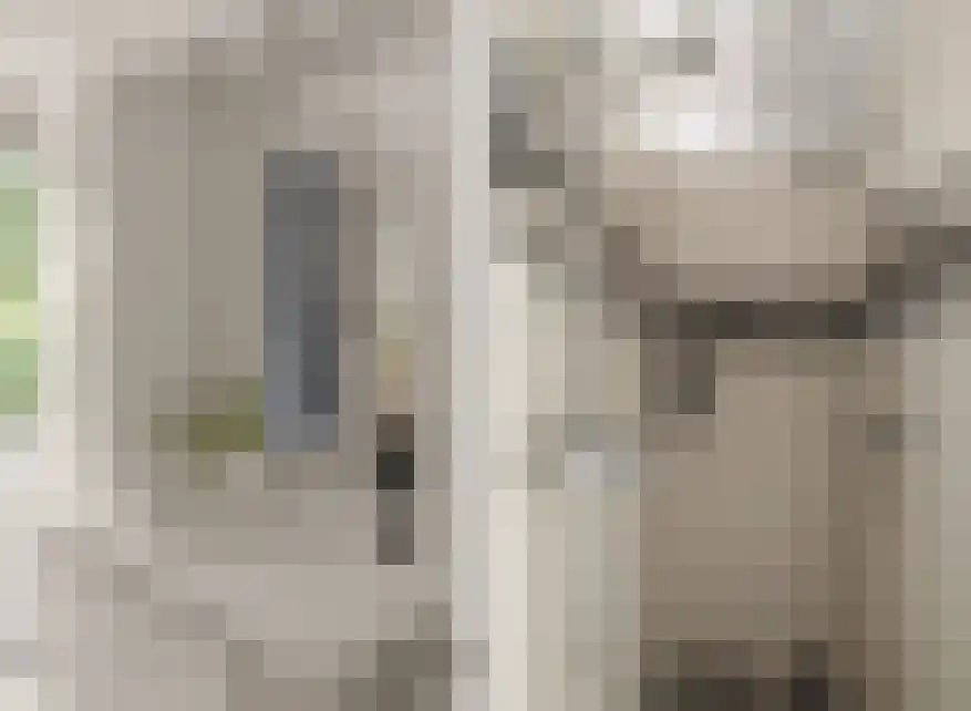Tolhuislaan 14 A Bosch en Duin thumbnail 28