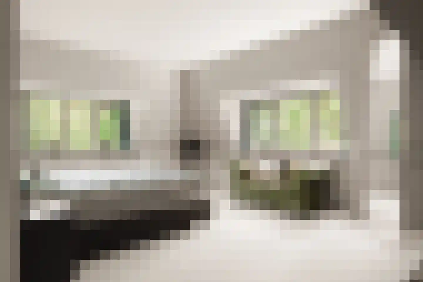 Tolhuislaan 14 A Bosch en Duin thumbnail 36
