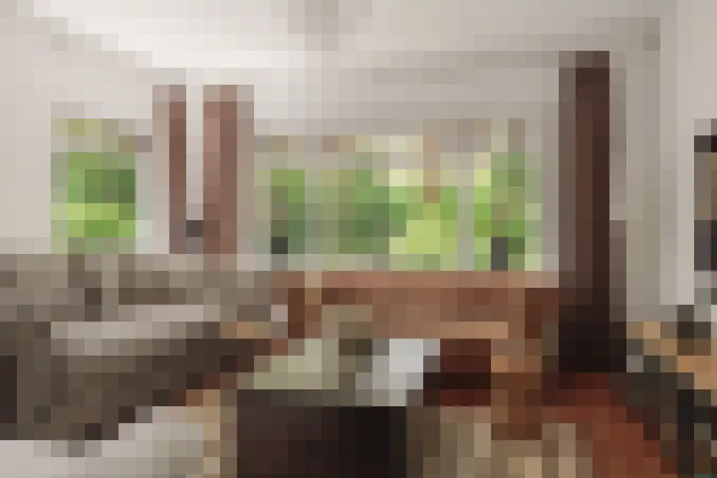 Tolhuislaan 14 A Bosch en Duin thumbnail 4