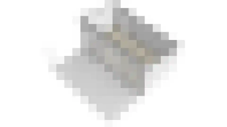 Tolhuislaan 14 A Bosch en Duin thumbnail 57