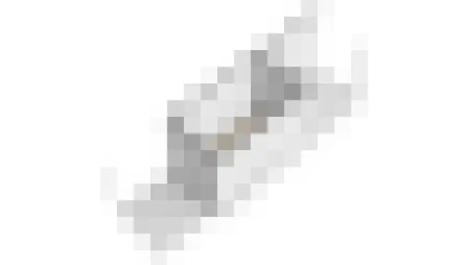 Tolhuislaan 14 A Bosch en Duin thumbnail 58