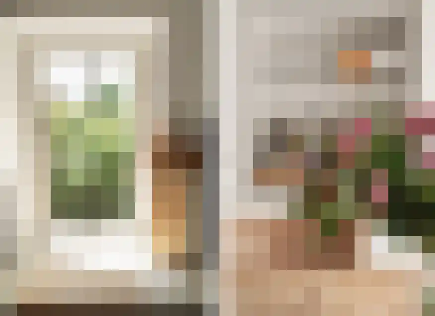 Tolhuislaan 14 A Bosch en Duin thumbnail 8