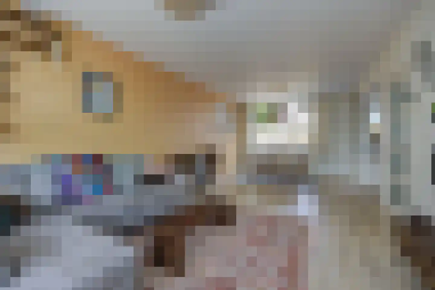 Tolhuislaan 14 Etten-Leur thumbnail 11